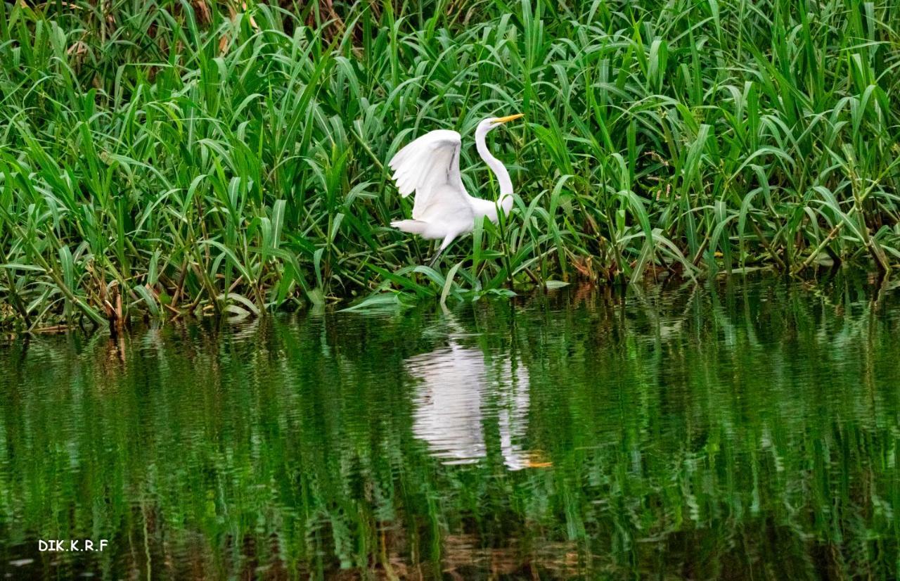 Pacaya Samiria Amazon Lodge Nauta エクステリア 写真